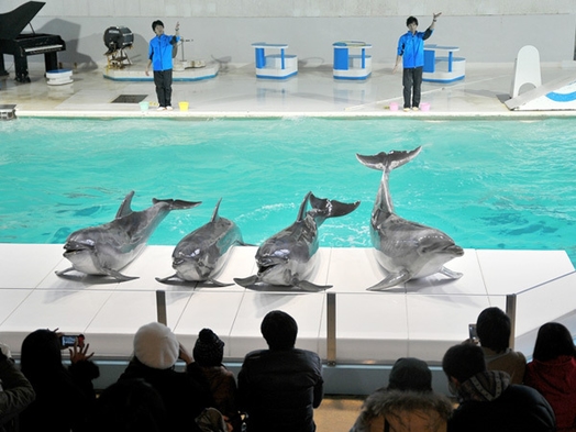 小樽水族館☆入場チケット付ファミリープラン